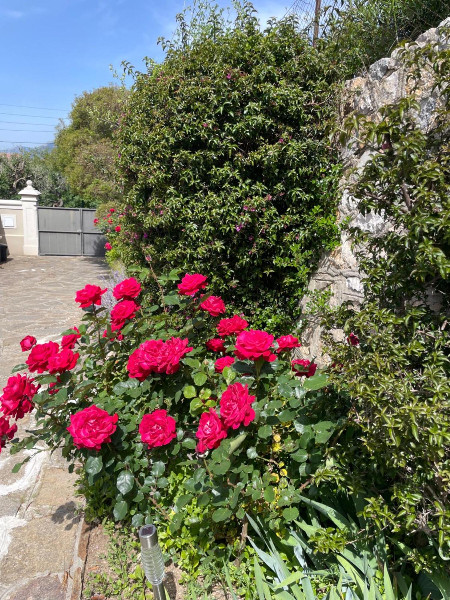 Les Trefles Apartment Hyeres Luaran gambar